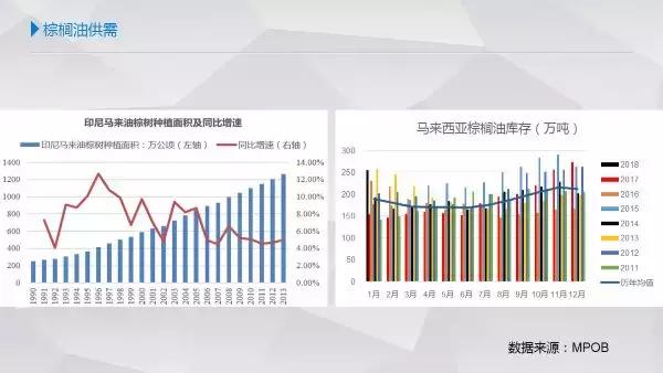 棕榈油供需