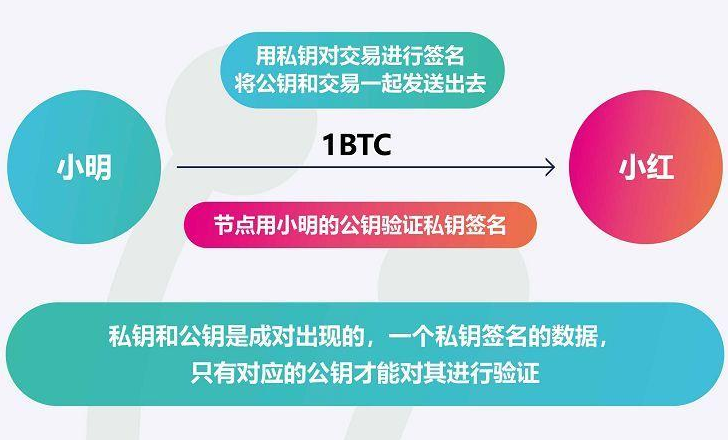 比特币钱包没看到私钥_比特币地址公钥私钥有什么用_比特币钱包私钥论坛