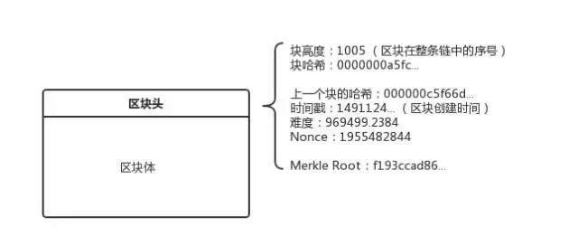 区块结构